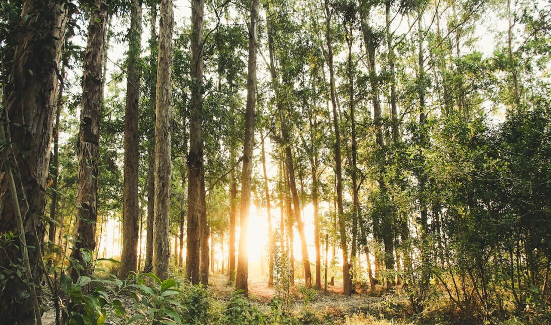Ünlü dizi oyuncusu, sosyal medyada yarattığı etkileyici paylaşımıyla büyük bir