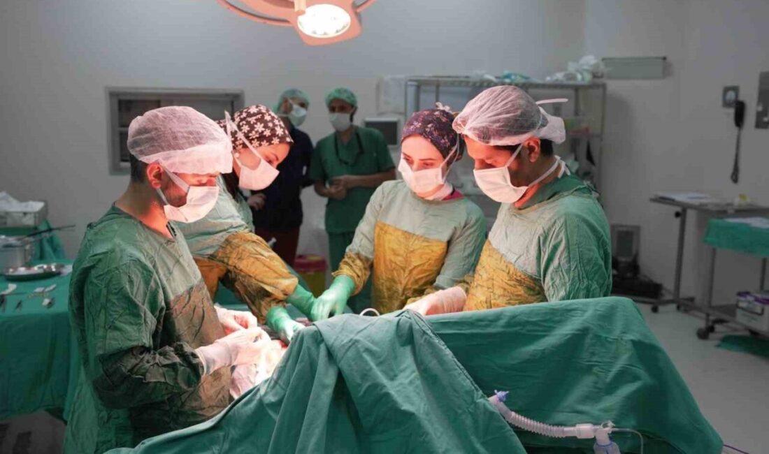 Malatya Eğitim ve Araştırma Hastanesinde gerçekleştirilen zorlu operasyonla, 70 yaşındaki