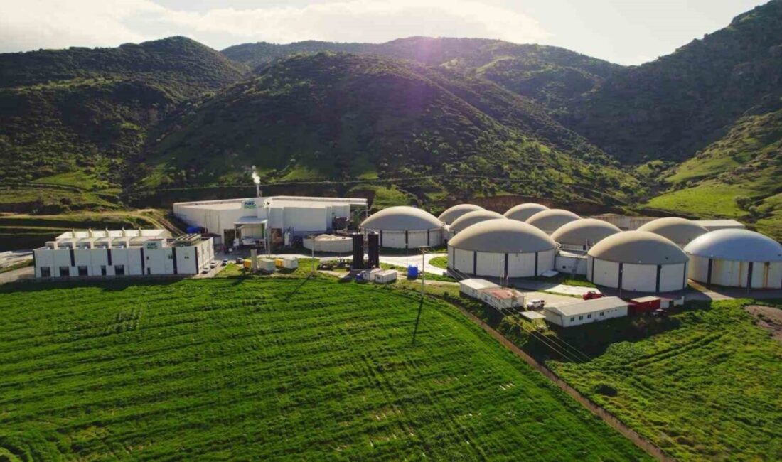 ARF Bio’nun 25-26 Aralık’ta pay başına 19,50 lira sabit fiyatla