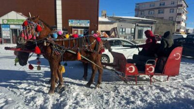Doğu Anadolu Bölgesi’nin en büyük ikinci gölü olan ve yüzeyi