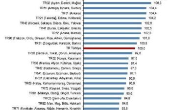 Türkiye İstatistik Kurumu (TÜİK) tarafından açıklanan 2024 yılı Bölgesel Satınalma
