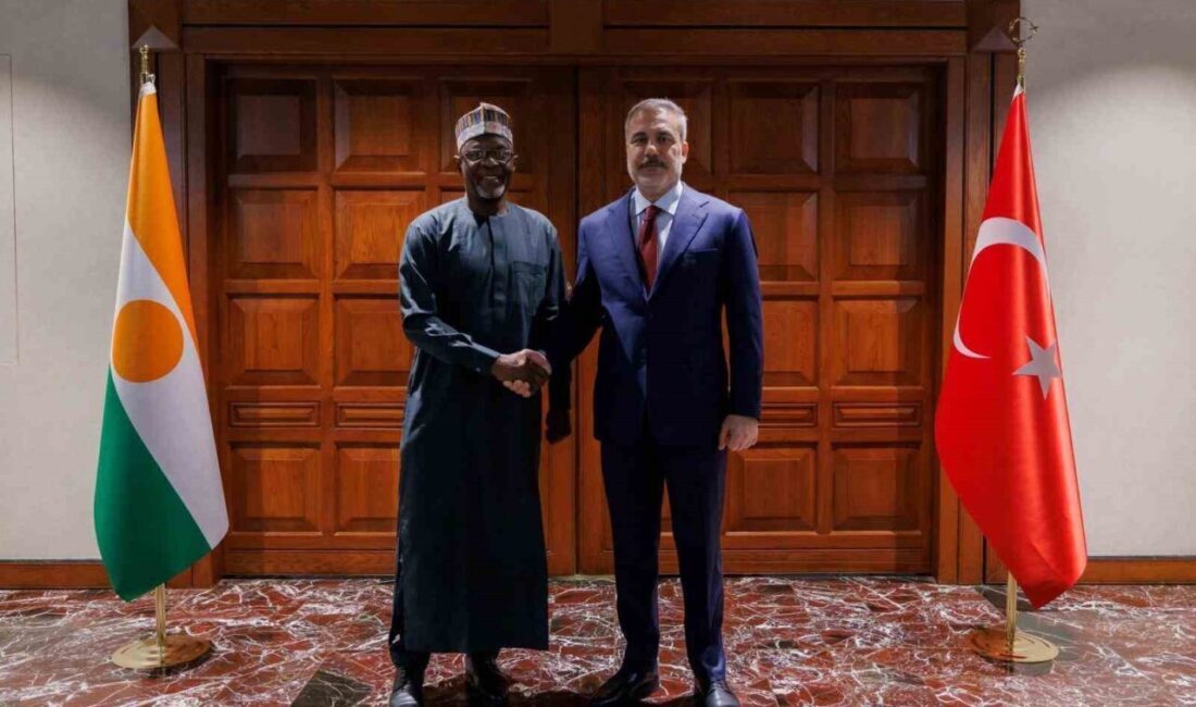 Dışişleri Bakanı Hakan Fidan, Nijer Dışişleri, İşbirliği ve Yurtdışında Yaşayan