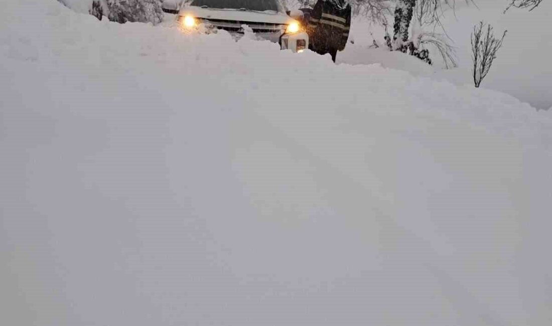 Batı Karadeniz’de etkisini artıran yoğun kar yağışı, enerji nakil hatlarında