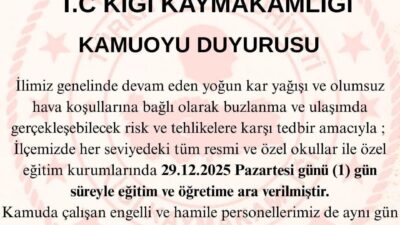 Bingöl genelinde etkisini sürdüren yoğun kar yağışı ve olumsuz hava