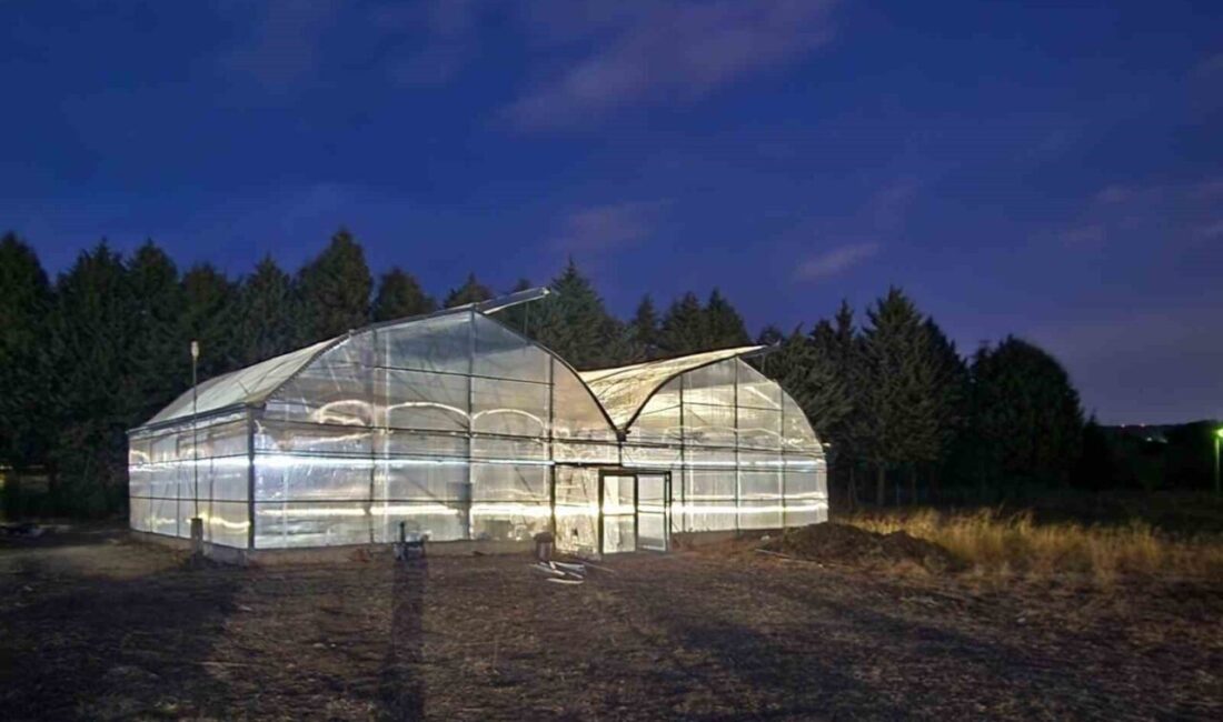 Bursa Uludağ Üniversitesi (BUÜ) Ziraat Fakültesi bünyesinde yürütülen “Competitive Greenhouse