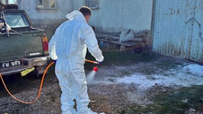 Kütahya’nın Çavdarhisar ilçesinde, İlçe Tarım ve Orman Müdürlüğü tarafından hayvan