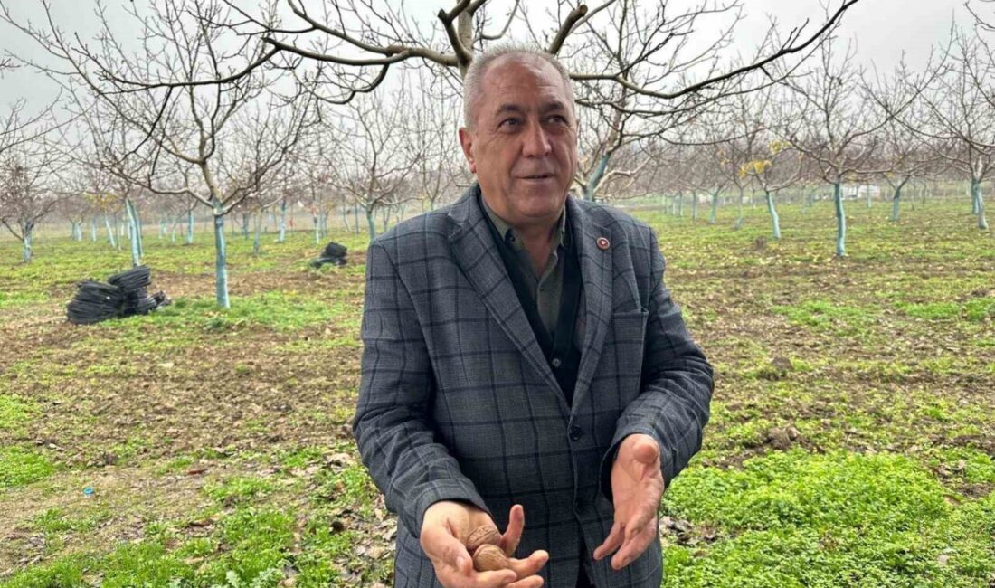 Bursa’nın İnegöl ilçesinin kırsal Konurlar Mahallesi’nde 20 yıl önce başlayan