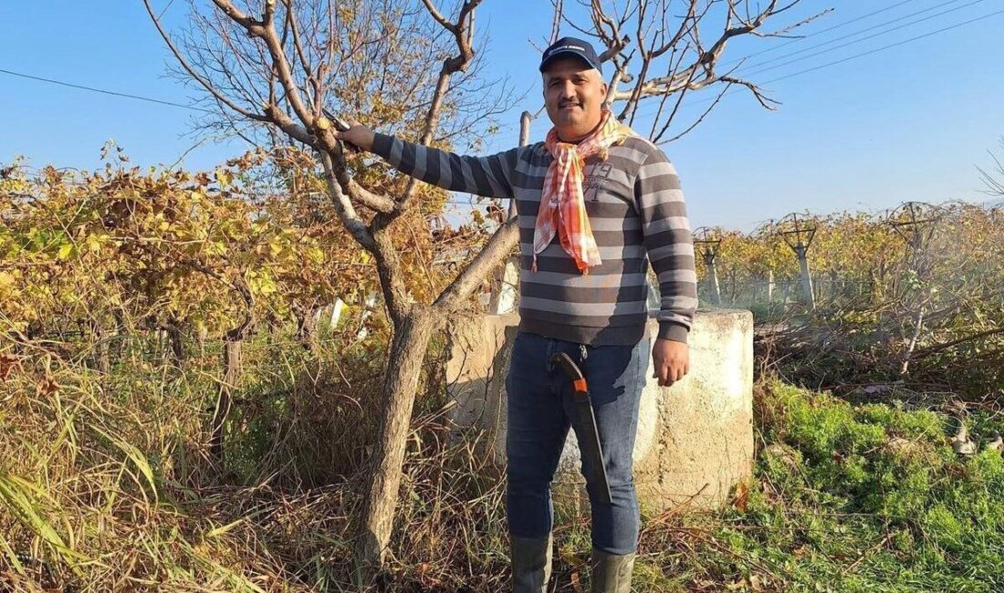 Manisa’nın Sarıgöl ilçesi ve çevresinde geçimini tarımla sağlayan çiftçiler, kış