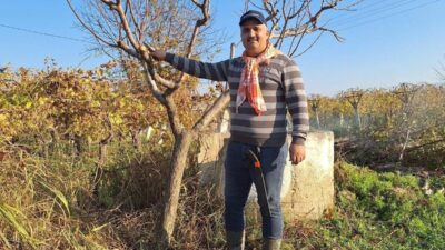 Manisa’nın Sarıgöl ilçesi ve çevresinde geçimini tarımla sağlayan çiftçiler, kış