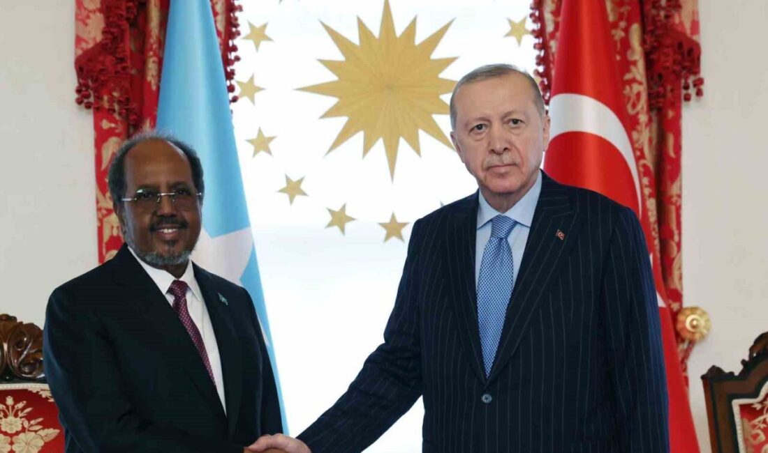 Cumhurbaşkanı Recep Tayyip Erdoğan ile Somali Cumhurbaşkanı Hasan Şeyh Mahmud