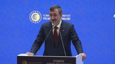 Cumhurbaşkanı Yardımcısı Cevdet Yılmaz, “İnşallah bu yılı 30 civarında bir