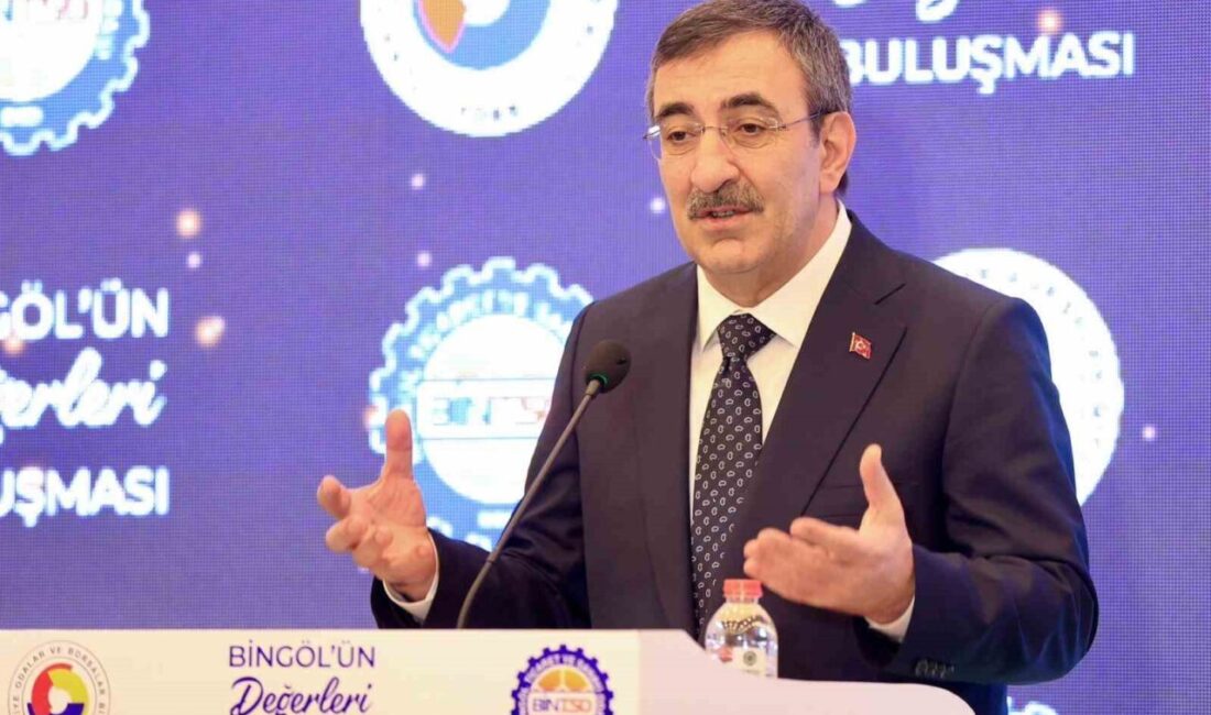 Dünya pazarının eskisi gibi hızla büyümediğini dile getiren Cumhurbaşkanı Yardımcısı