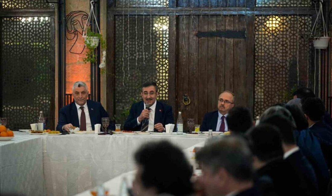 Cumhurbaşkanı Yardımcısı Cevdet Yılmaz, “Terörsüz Türkiye” hedefinin artık bir devlet