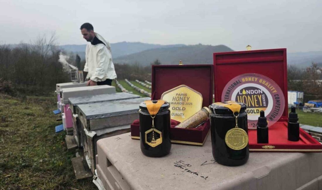 Zonguldak’ta yaşayan Akosman çifti, 9 yıl önce 40 kovanla başladıkları