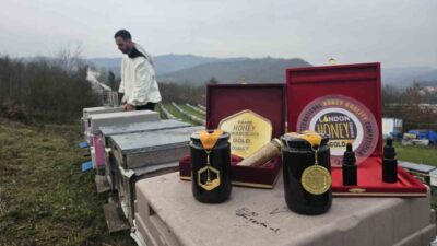 Zonguldak’ta yaşayan Akosman çifti, 9 yıl önce 40 kovanla başladıkları