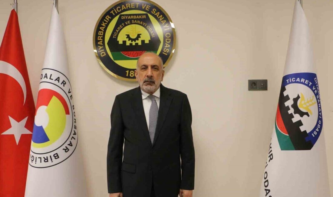 Diyarbakır Ticaret ve Sanayi Odası (DTSO) Başkanı Mehmet Kaya, 2025