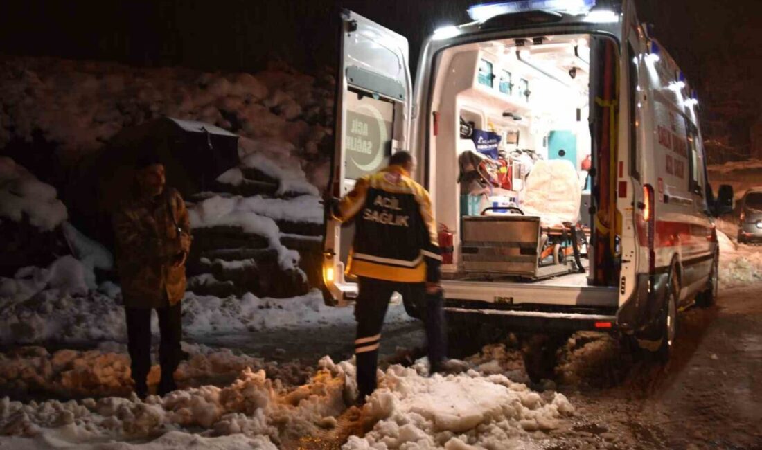 Bitlis merkeze bağlı Çeltikli köyünde ateşlenen 7 aylık bebek Melisa