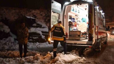 Bitlis merkeze bağlı Çeltikli köyünde ateşlenen 7 aylık bebek Melisa