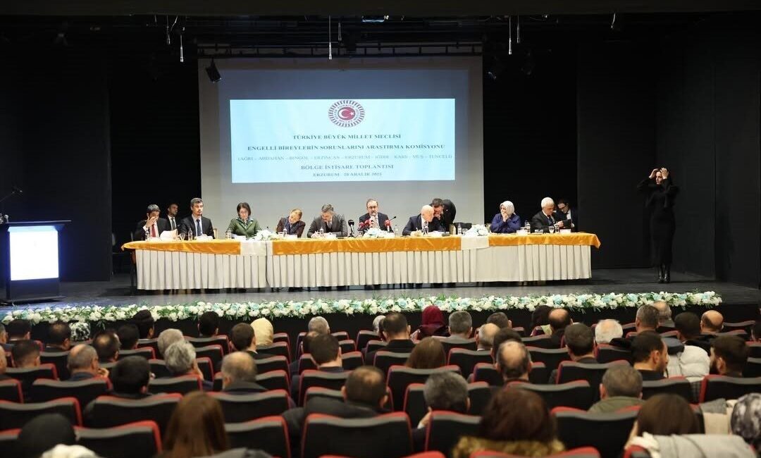 Türkiye Büyük Millet Meclisi (TBMM) Engelli Bireylerin Sorunlarını Araştırma Komisyonu,