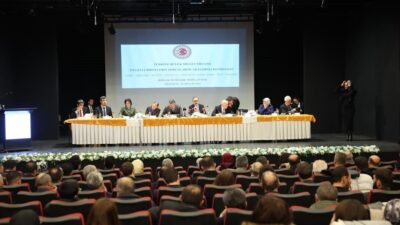 Türkiye Büyük Millet Meclisi (TBMM) Engelli Bireylerin Sorunlarını Araştırma Komisyonu,