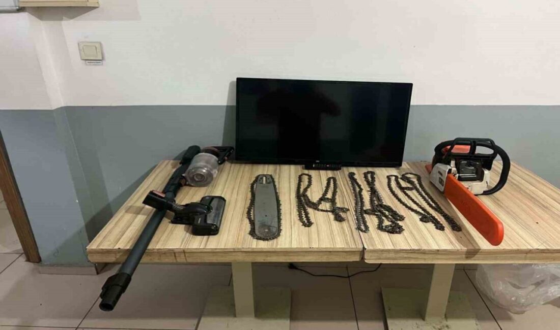 Bolu’da bir eve girerek eşya çalan hırsızlar, jandarma ekiplerinin operasyonu