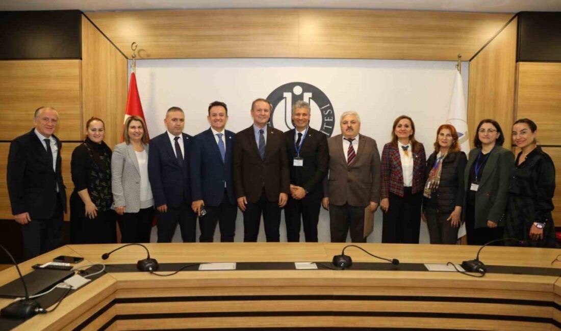 Fen, Edebiyat, Fen-Edebiyat, Dil ve Tarih-Coğrafya Fakülteleri Öğretim Programları Değerlendirme