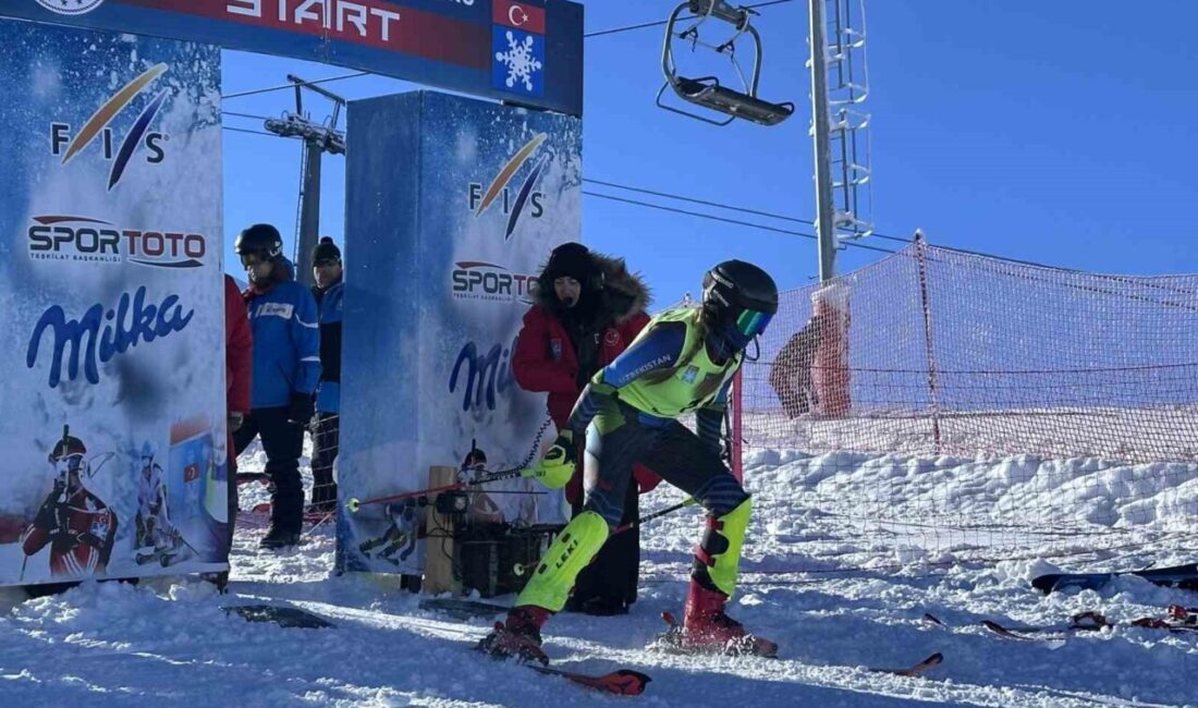 Uluslararası kayak organizasyonları arasında yer alan FIS Palandöken Cup, bu