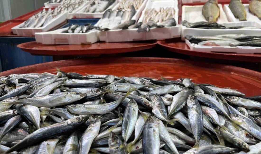 Konya’da balıkçılar, havaların geç soğumasıyla hamside sıkıntı olduğunu belirtirken, satışlarda