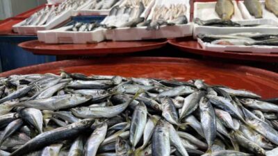 Konya’da balıkçılar, havaların geç soğumasıyla hamside sıkıntı olduğunu belirtirken, satışlarda