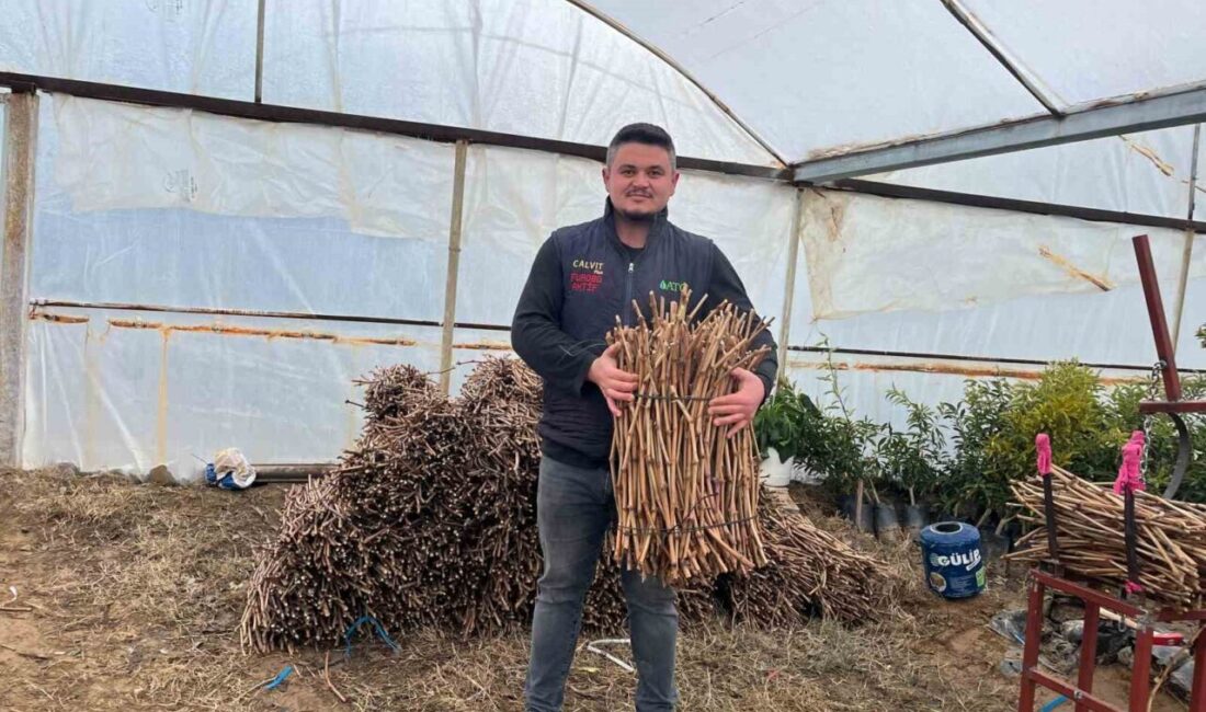 Manisa’nın Sarıgöl ilçesinde genç girişimci kardeşler Aytaç ve Ahmet Ünlükoç,