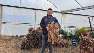 Manisa’nın Sarıgöl ilçesinde genç girişimci kardeşler Aytaç ve Ahmet Ünlükoç,