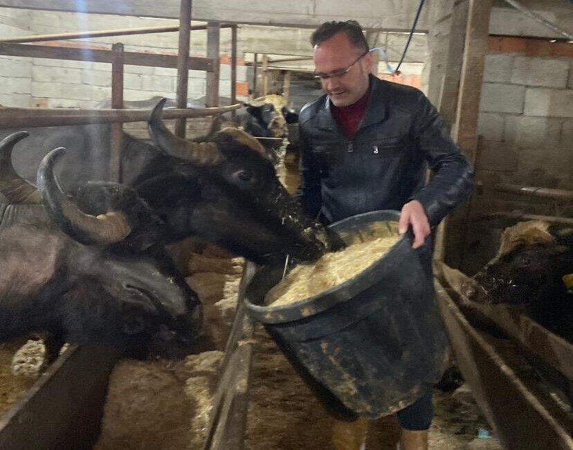 Giresun’da Damızlık Manda Yetiştiricileri Birliği’ne üye 286 işletmeye toplam 12