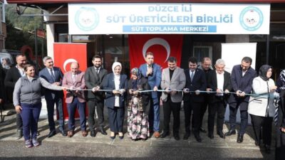 Düzce İl Genel Meclisi ve İl Özel İdaresi, 2025 yılını