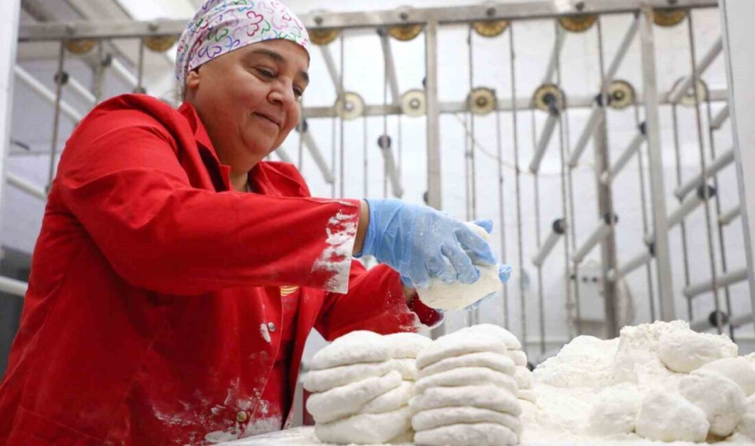 Antalya Büyükşehir Belediyesi’nin Antalya Toptancı Hal içerisinde kadın kooperatiflerine ücretsiz