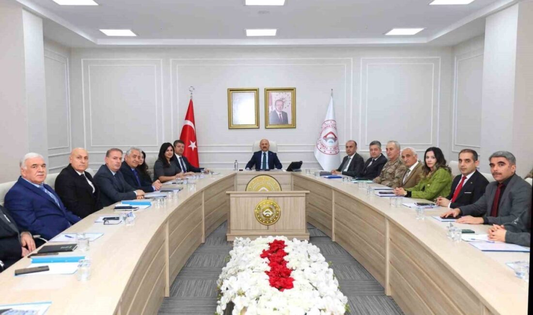 Kadına yönelik şiddetle mücadele kapsamında sunulan hizmetlerin etkinliğinin artırılması ve