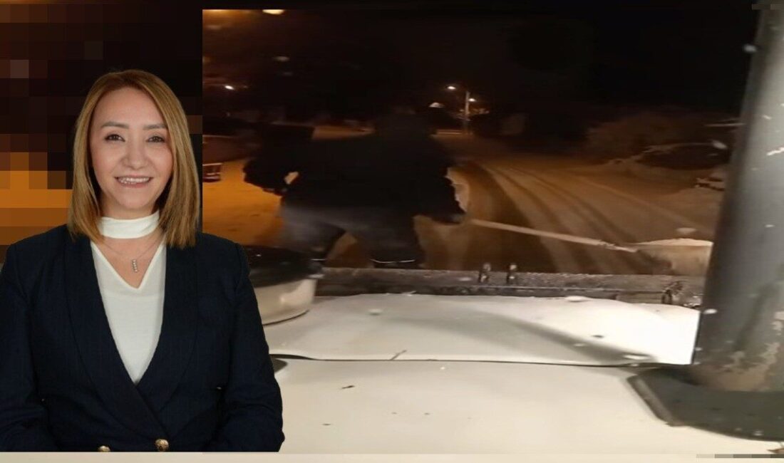 Bilecik’in Pazaryeri ilçesinde etkili olan kar yağışının ardından Pazaryeri Belediyesi