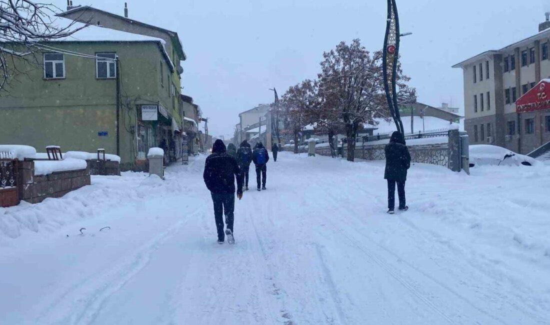 Bingöl’ün Karlıova ilçesinde etkisini sürdüren yoğun kar yağışı ve olumsuz