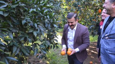 MUĞLA (İHA) – Muğla’nın Köyceğiz ilçesinde, coğrafi işarete sahip ’Köyceğiz