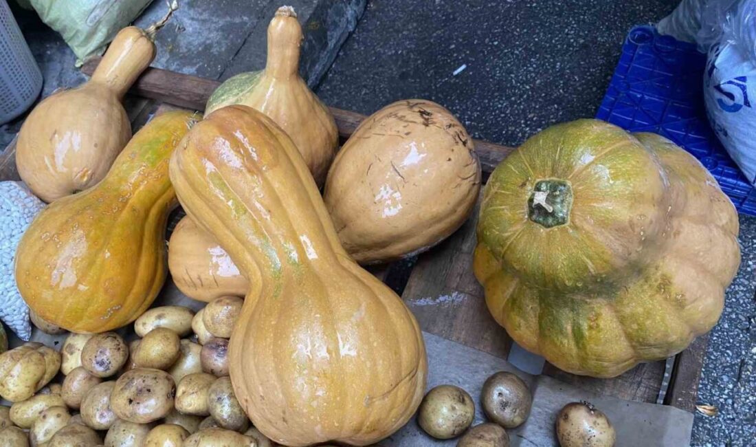 Manisa’nın Alaşehir ilçesinde kurulan semt pazarında satışa sunulan bal kabağı,