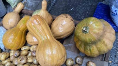 Manisa’nın Alaşehir ilçesinde kurulan semt pazarında satışa sunulan bal kabağı,