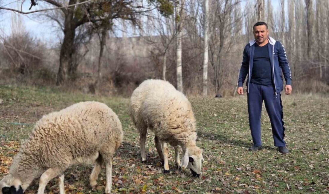 Yozgat’ın Sorgun ilçesine bağlı Araplı kasabasında yaşayan Erol Önal, kesmek