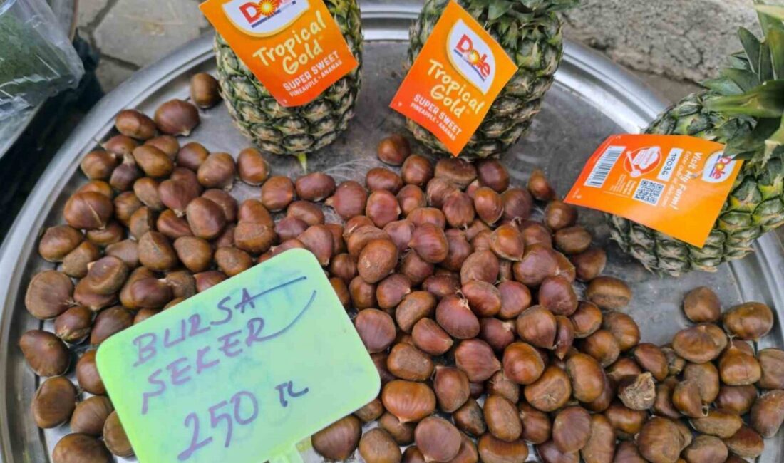 Afyonkarahisar’da kış sofralarının vazgeçilmezi kestane satış fiyatı ile yüzleri güldürdü.