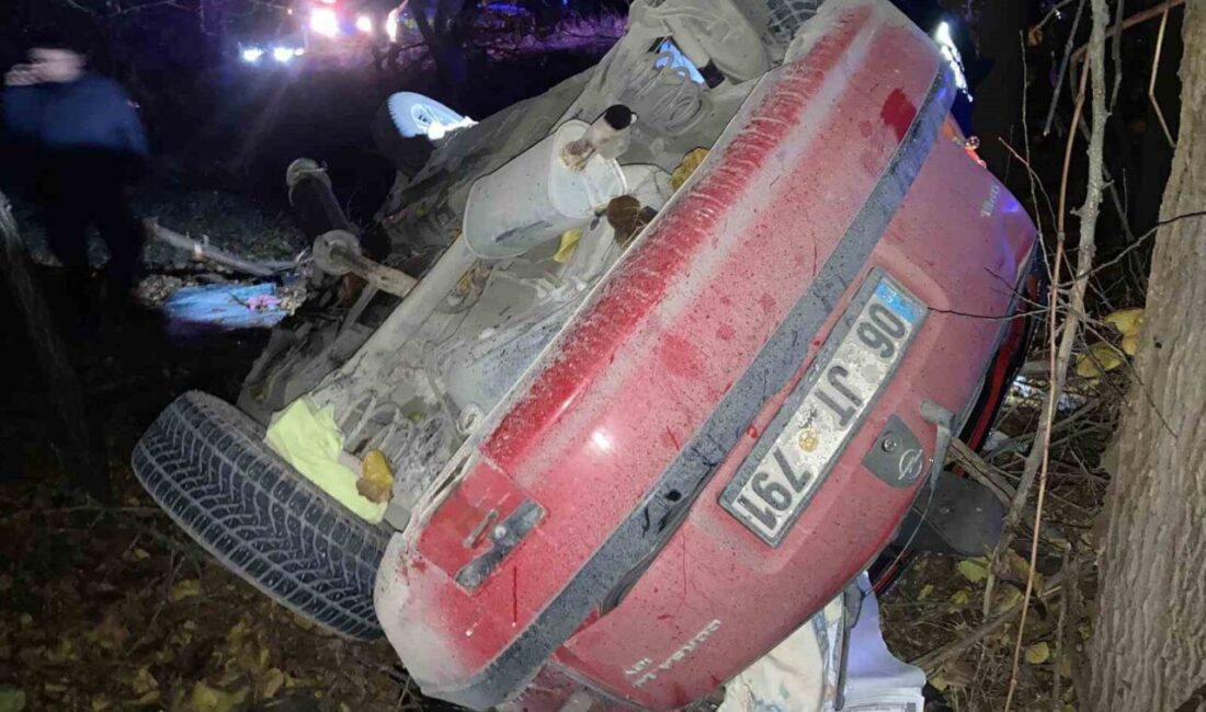 Malatya’da sürücüsünün kontrolünden çıkan otomobilin kayısı bahçesine uçtuğu kazada 1