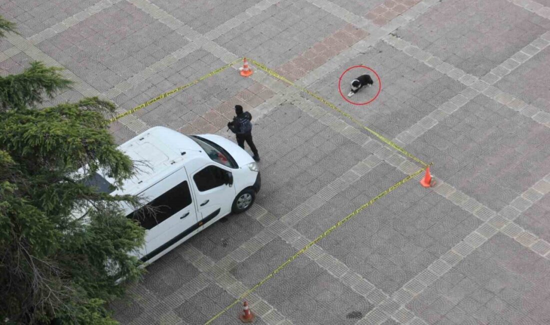 Samsun’da polis aracının çevresine çekilen güvenlik şeridi, kurallara uyan bir