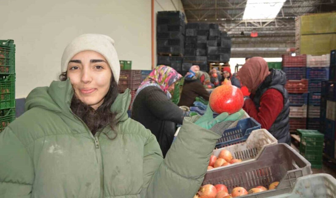 Antalya ile çevre ilçelerde yetiştirilen ve Korkuteli’ndeki soğuk hava depolarında