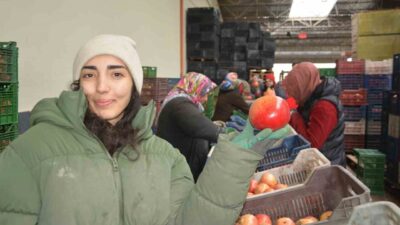 Antalya ile çevre ilçelerde yetiştirilen ve Korkuteli’ndeki soğuk hava depolarında