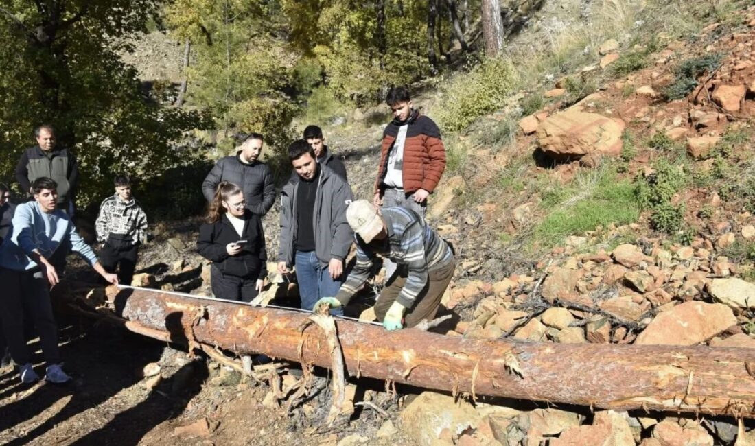 Muğla’nın Köyceğiz ilçesinde Meslek Yüksekokulu Ormancılık ve Orman Ürünleri Programı