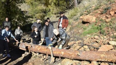 Muğla’nın Köyceğiz ilçesinde Meslek Yüksekokulu Ormancılık ve Orman Ürünleri Programı