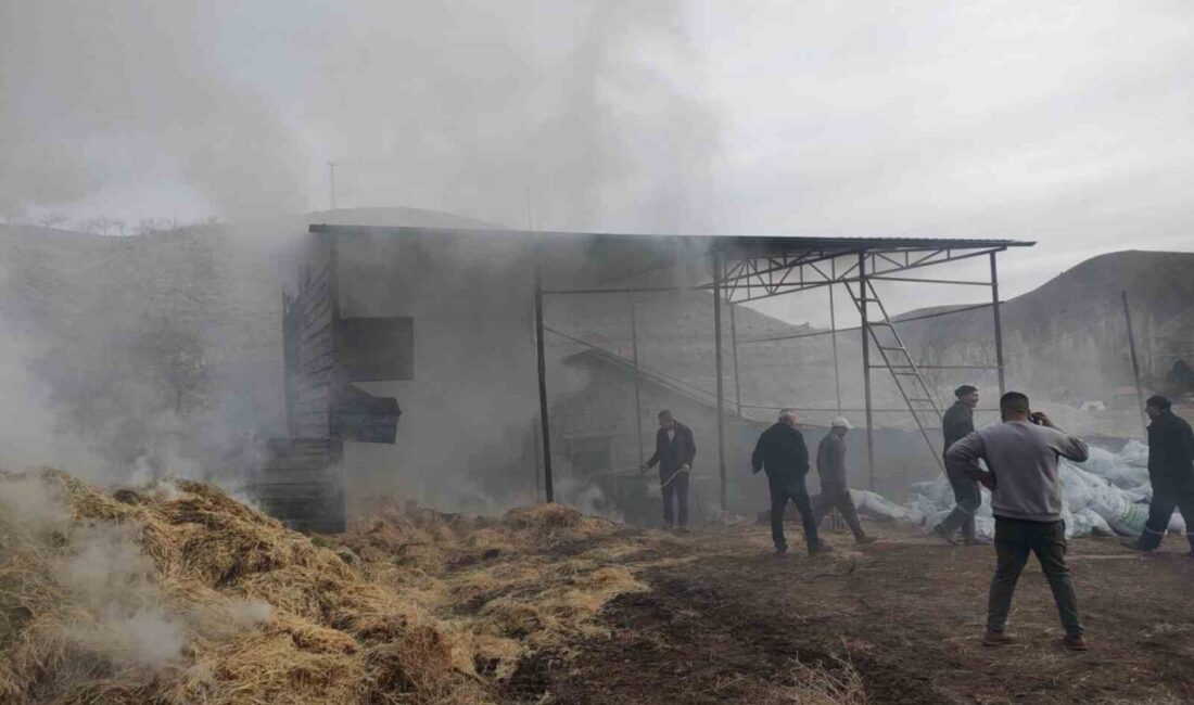 Malatya’nın Kuncak ilçesinde bir besi çiftliğinde yangın çıktı. Yaralananın olmadığı