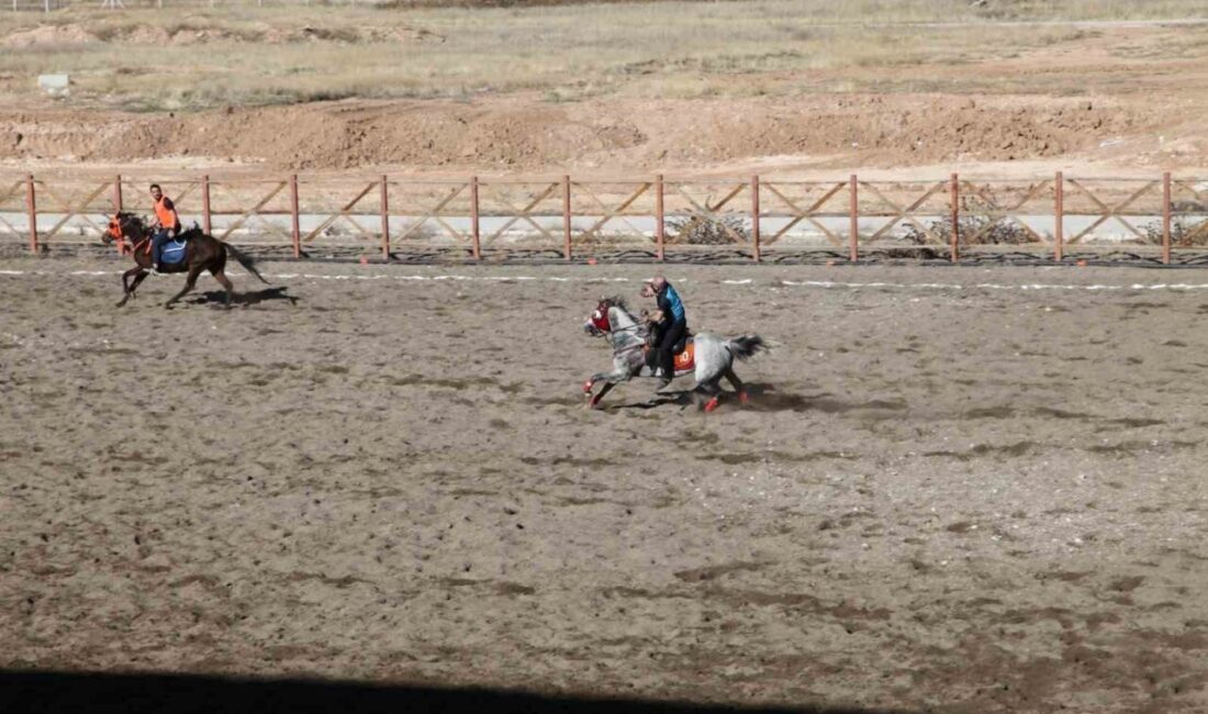 Malatya’nın Yazıhan ilçesinde faaliyet gösteren Yazıhan Atlı Cirit ve Binicilik